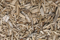 biomass boilers Depden
